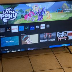 42 Inch Flatscreen