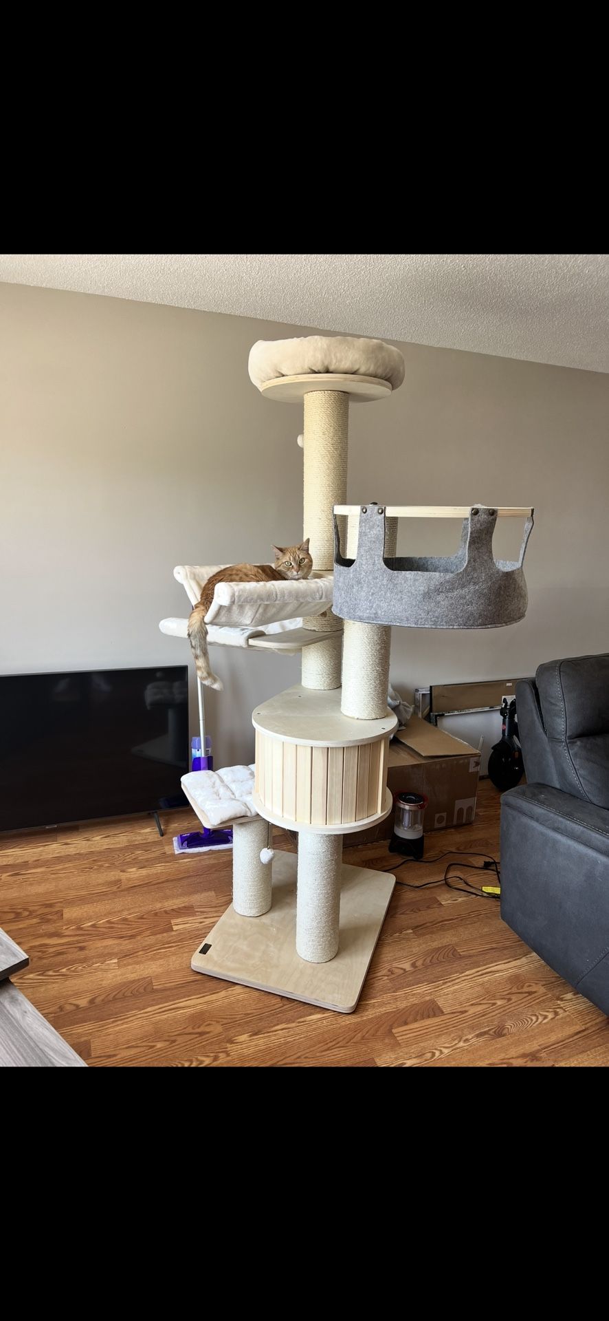 Used Cat Tower