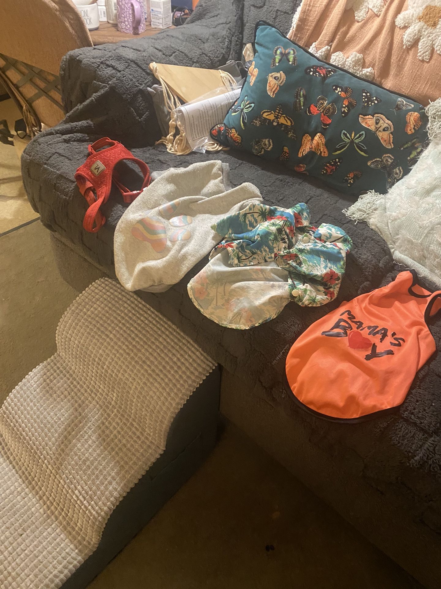 Free Small Dog Items