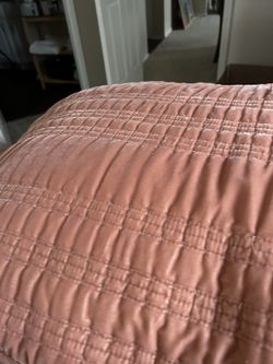 Comforter/ Velveteen Like/ Pillows