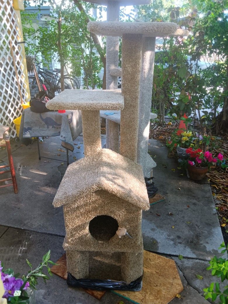Cat House...
