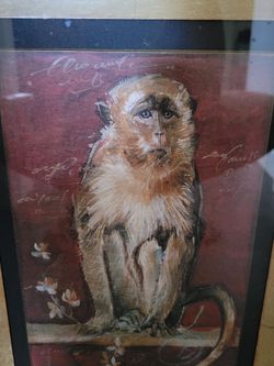 Macaque Monkey Prints by Artist Barrett - Custom Framed