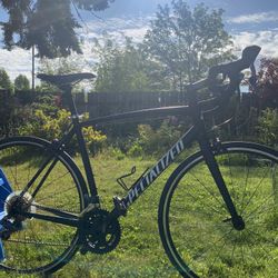 56cm (Large) Specialized Allez Road bike
