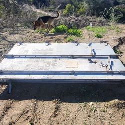 Cargo Container Doors 