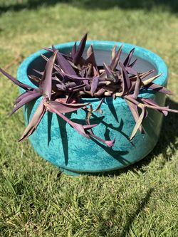 Pottery