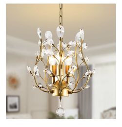 Ganeed Crystal Chandeliers,