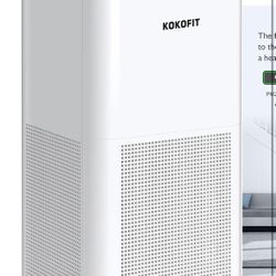 Large Air Purifier 