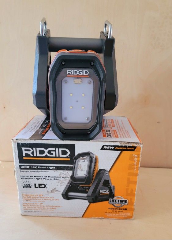 Flood Light with Detachable Light (Tool Only)