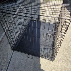 Dog Cage