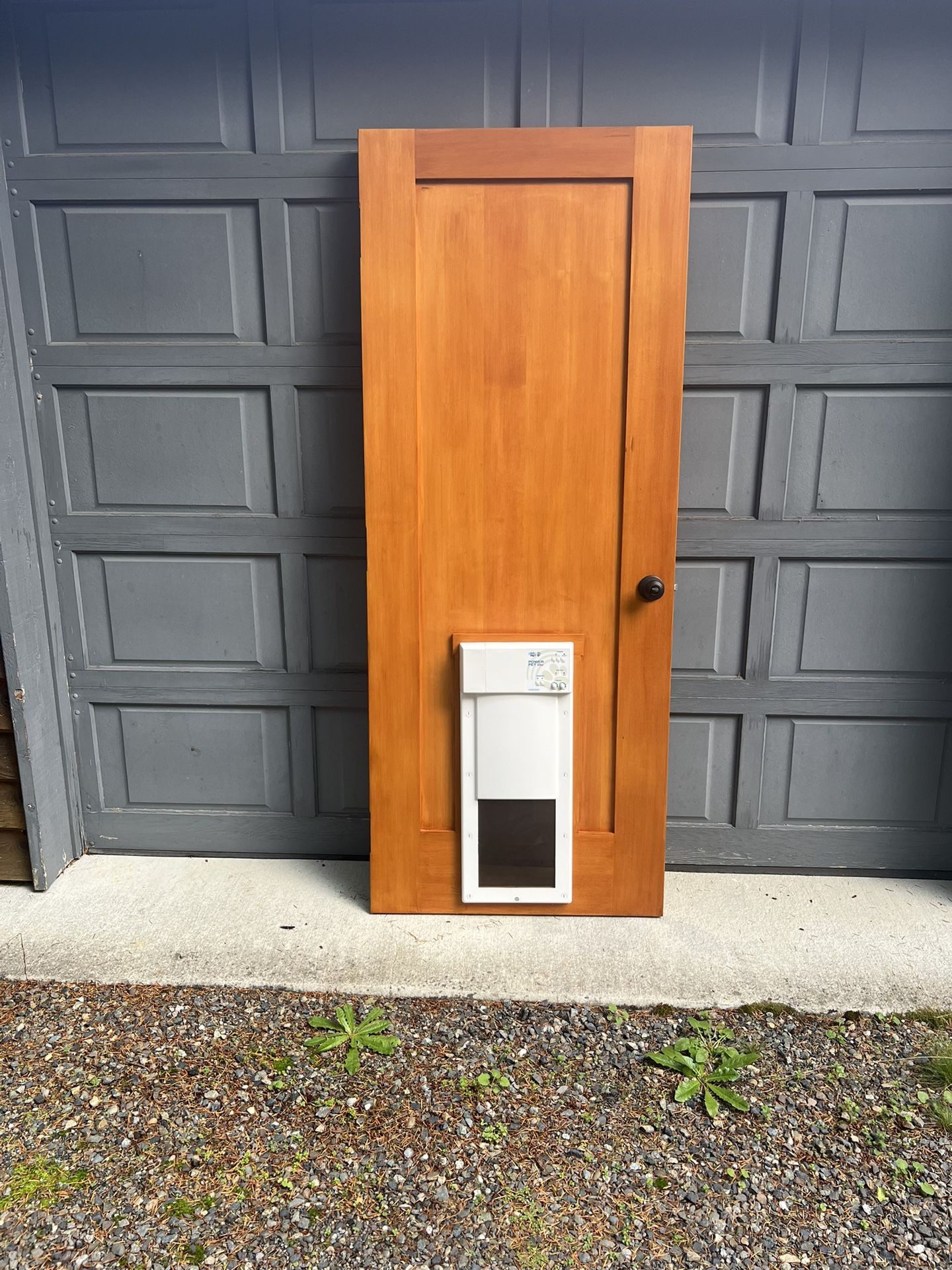 Custom Exterior Door/ Pet Door
