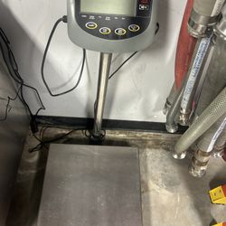 Ohaus Champ II CD-11 Stainless Scale