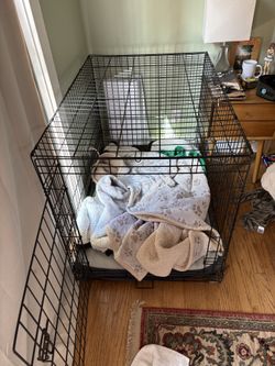 XL dog crate