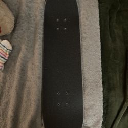 World Industries Wet Willy 