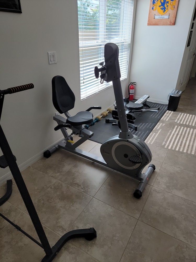 Sunny Recumbent Bike With Hand Exerciser