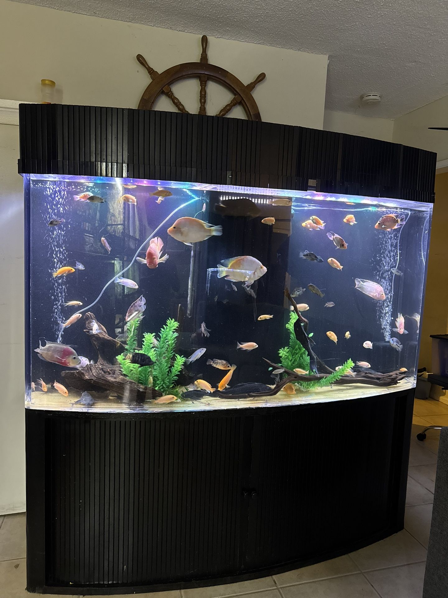 Fish Tank Aquarium 300 Gallon Acrylic