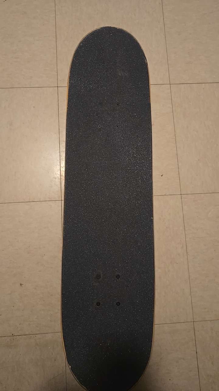 Skate Board