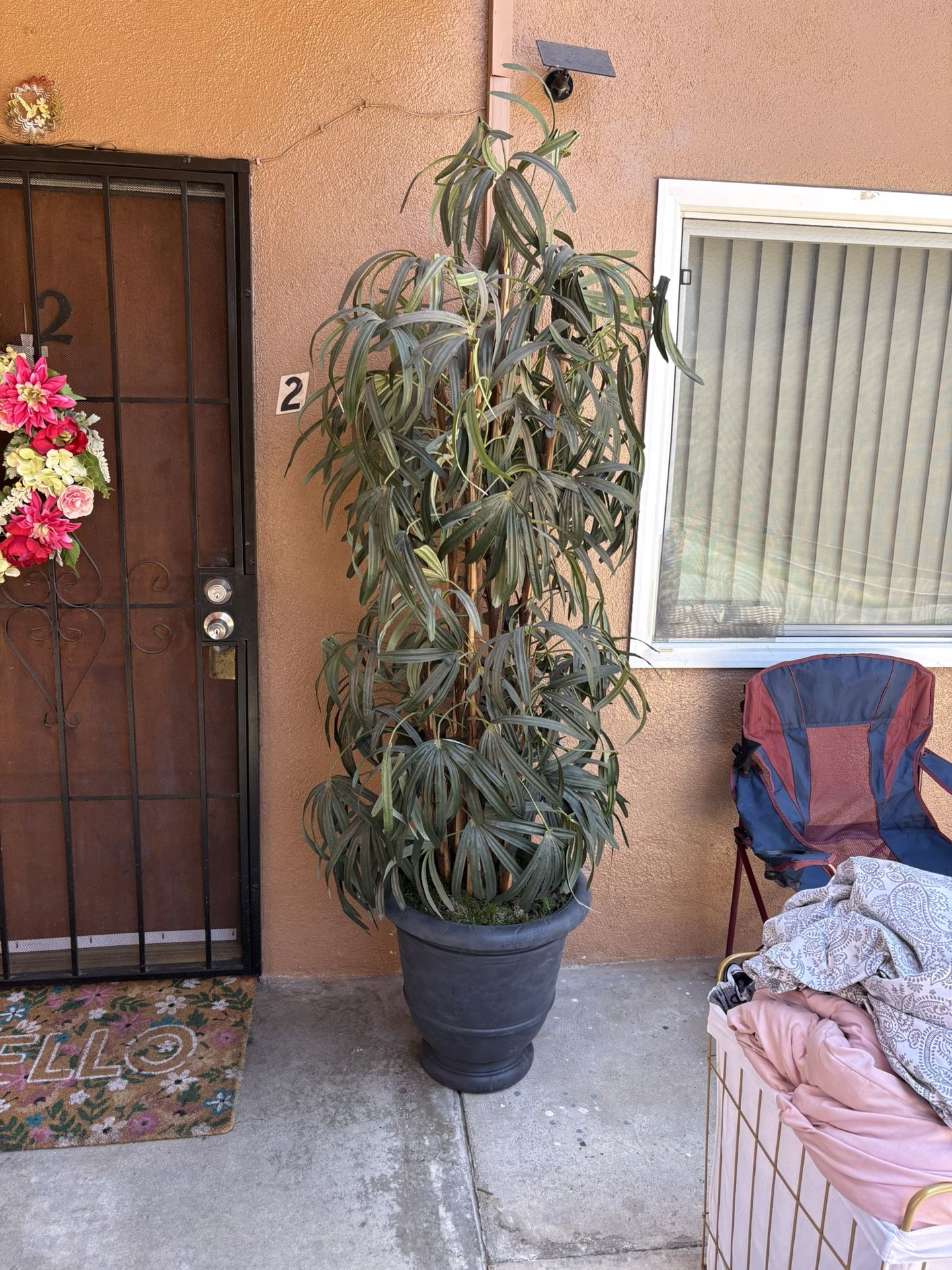 home decore, decorative plant