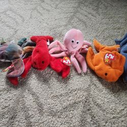 Beanie Babies - Lot of 5 Aquatic Animals 