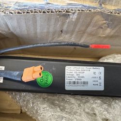 Electric Scooter 36V Battery (Brand New)