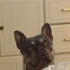 Ruben 