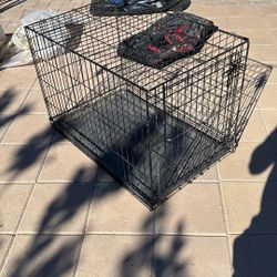 Dog Kennel 