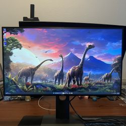 Dell UltraSharp U2719D – Premium 27" 2K Workstation Monitor | IPS, Infinity Edge | Pristine