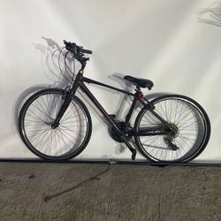 Giant Bike