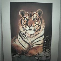 D. Burgess Tiger Artwork 