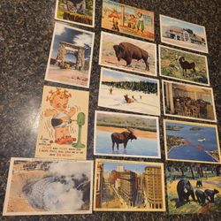 Vintage postcards Yellowstone