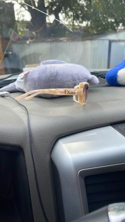 Dior sunglasses
