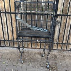 Bird Cage