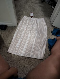 Pleated Skirt