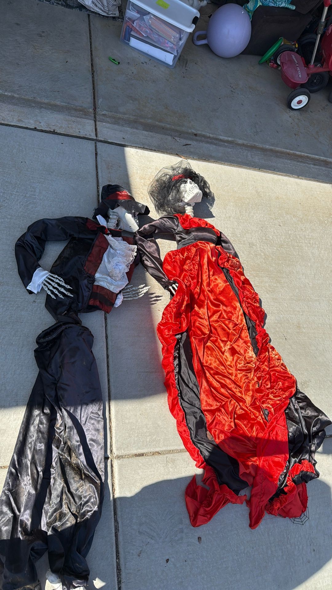 Bride And Groom Skeleton
