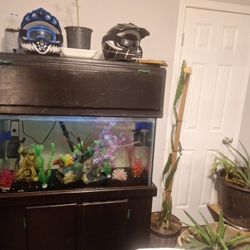 55 Gallon Aquarium 