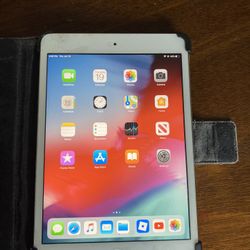 iPad Mini 2