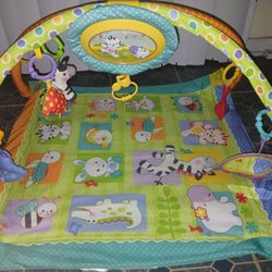 Light-Up/Musical BABY GYM MAT