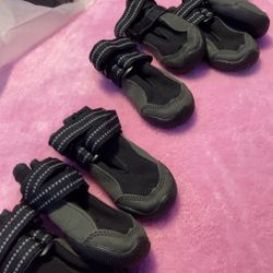 Dog Shoes 