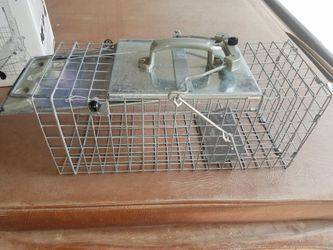 Squirrel and rabbit live animal trap