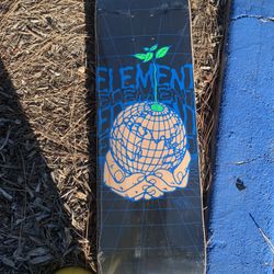 Element Skateboard Deck (8.25)