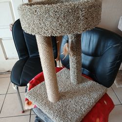 Cat Scratching Post And Bed