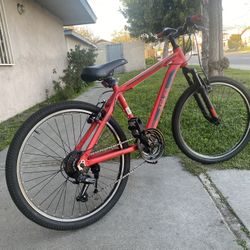 Buena Vista Bike