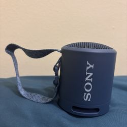 Sony Speaker 