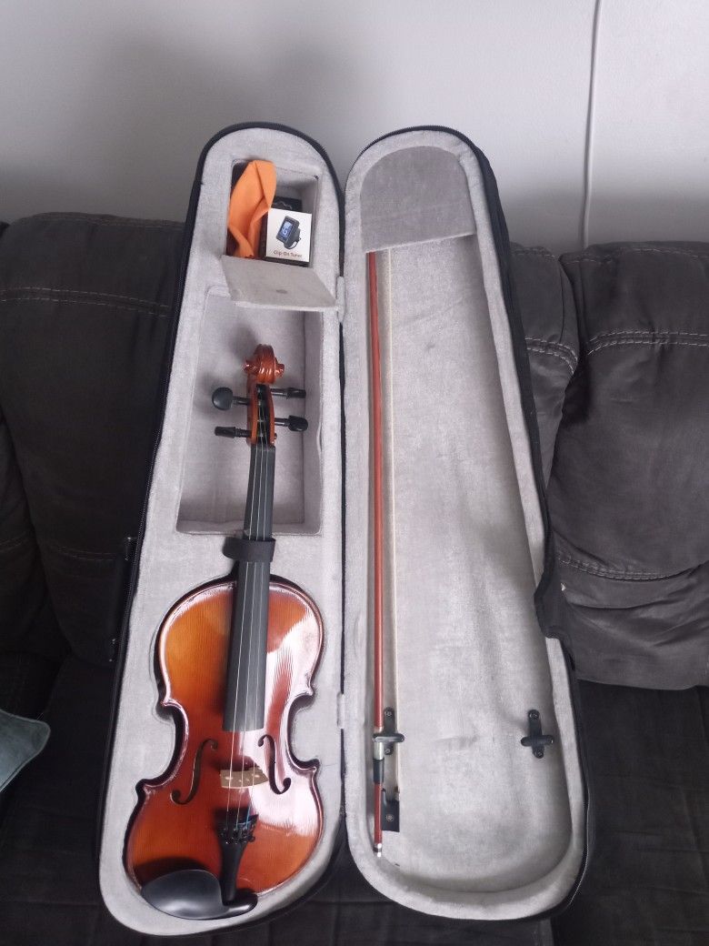 Violin