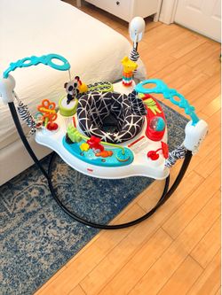 Fisher Price Bouncer and Activity Center