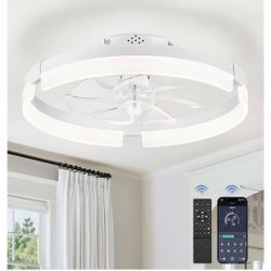 Brand New Ceiling Fan 