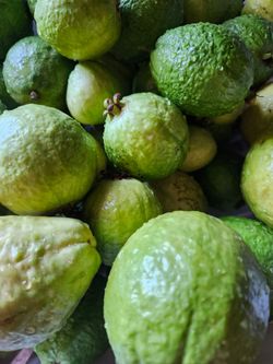 Ricas y grandes guayavas organicas azusa