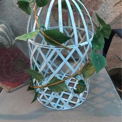 Metal Yard Cage/ Cloche - 16 Inches / H 