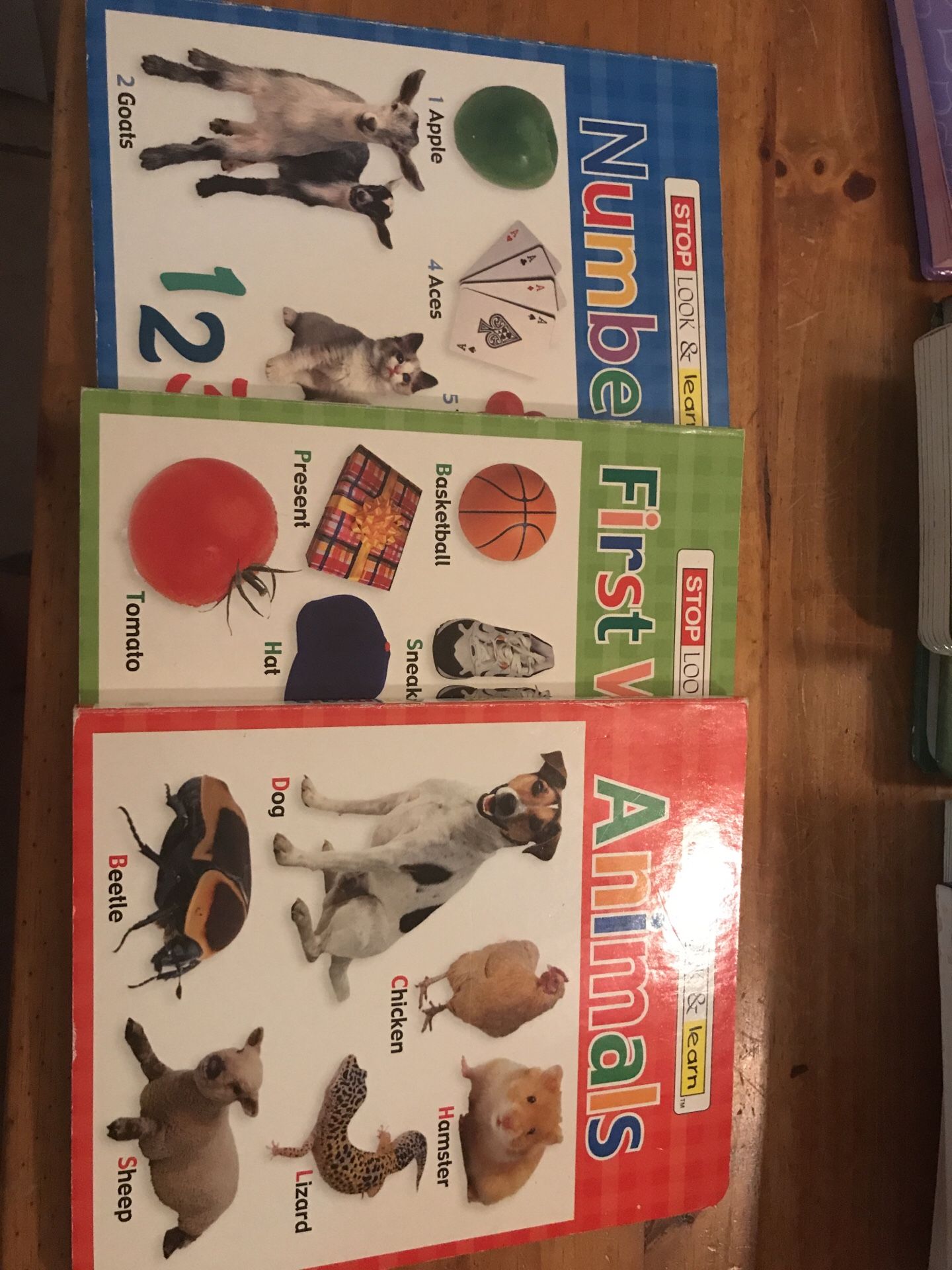 Stop look & learn books