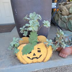 Halloween Wood Basket With Ceramic Potted Healthy Succulent. 