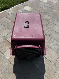 Dog cage large